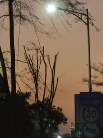 爱如残花，泪落无声
