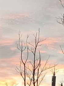 快穿：超出预期