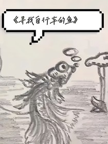 尋找自行車的魚