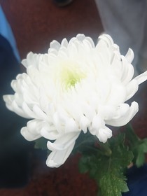 遺憾皆落幕