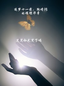 逐梦十一载：鞠婧祎的璀璨华章