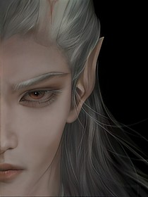 羽欣相伴
