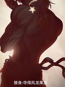 替身：夺得风龙果实