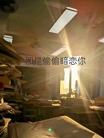 那时偷偷暗恋你