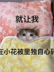 所以再来一次