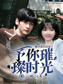 树下有片红房子：予你璀璨时光