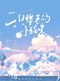 一只炸毛的貓咪