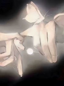 暖不化的心