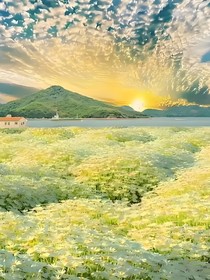 記憶中的那片花海