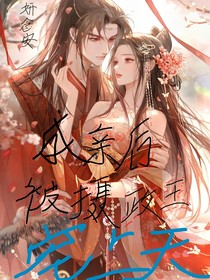 成亲后，被摄政王宠上天
