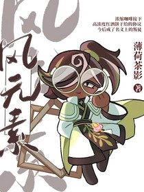 玛咖：风元素