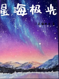 星海極光