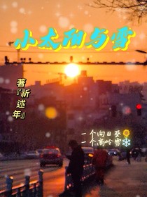 小太陽與雪