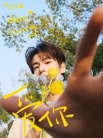 综影视：男主哪里跑