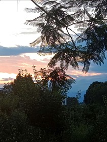 蟬鳴盛外
