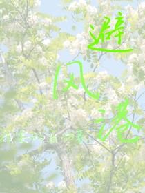 避風(fēng)港？