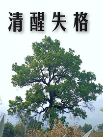 清醒失格