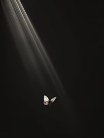FakeAngel