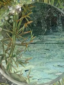 随笔小说（短篇集）