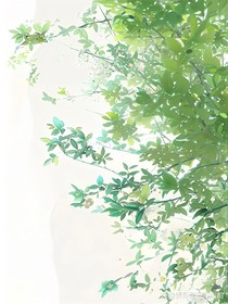 我的肆意少年，请潇潇洒洒