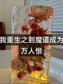 我重生之到魔道成为万人恨