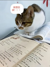 学之危机