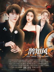TNT：鹊知风