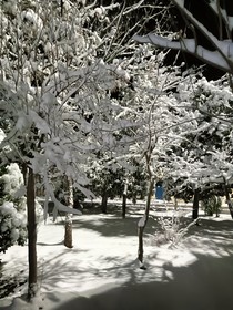 蚀雨如爱