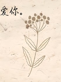 一些短篇后面可能会细写