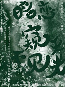 暗恋窥不见天光