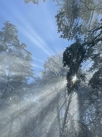 余晖下的告白，