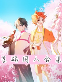 星码同人合集