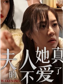 夫人她真的不爱了盛小冉