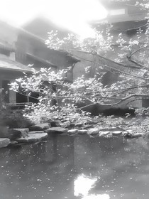 听到了你的心跳