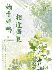 始于蝉鸣，相逢盛夏