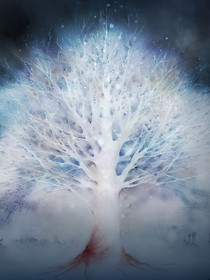 可曾白日见星光