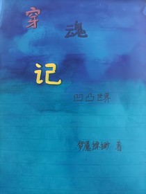 凹凸世界：穿魂记