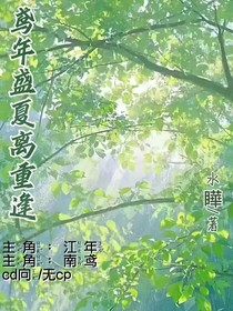 鳶年盛夏離重逢