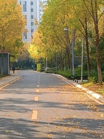 偏偏遇见你（言情）