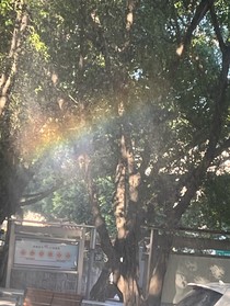 校草別太愛