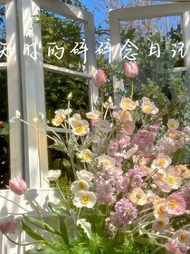 知时的碎碎念日记
