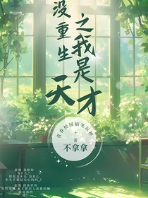 没重生之我是天才