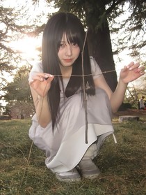 血漪蛺蝶