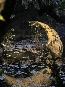 春城落雨