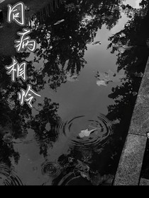 好像是同病相憐