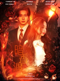 南极星：暗香渡