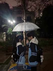 冬情意