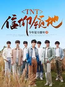 TNT：信仰领地