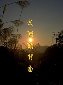 太阳的背面