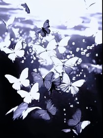 追溯与审判